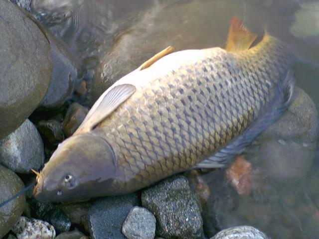 So good :) - cid0403071902.jpg